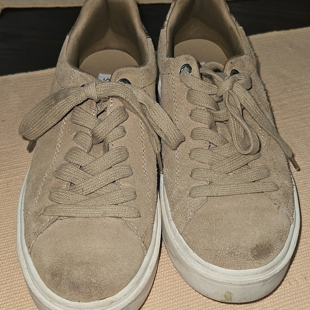 Steve Madden Charlie Suede Sneakers - Picture 4 of 5